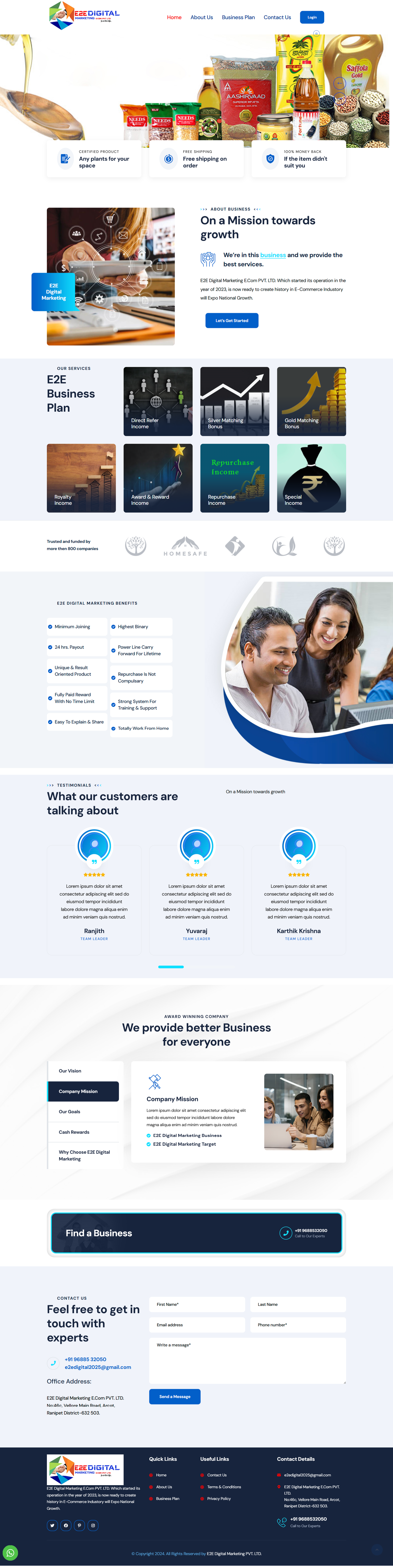 Custom-business-websites