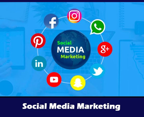 Web Development Company in Chennai